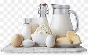 Dairy Products